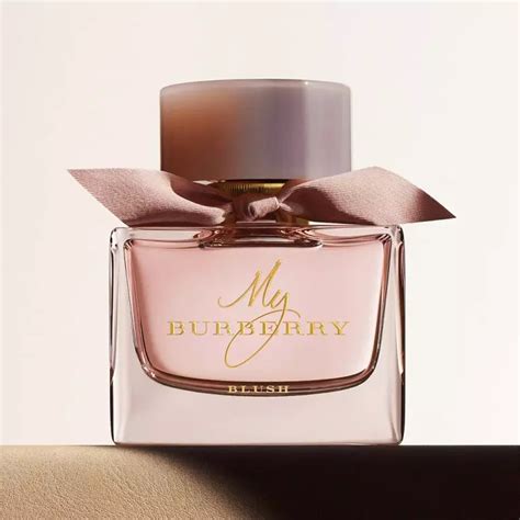 burberry for women travel size perfume|Burberry female perfume list.